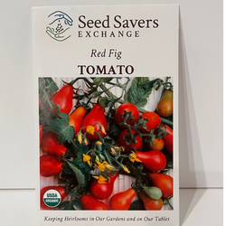 Organic Red Fig Tomato 1850 Heirloom Open Pollinated Seeds