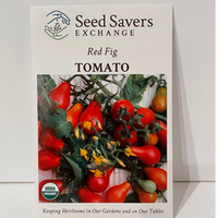 Thumbnail for Organic Red Fig Tomato 1850 Heirloom Open Pollinated Seeds