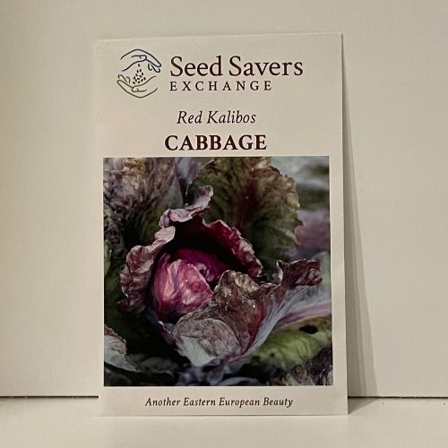 Red Kalibos Cabbage open-pollianted seeds