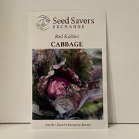 Thumbnail for Red Kalibos Cabbage open-pollianted seeds
