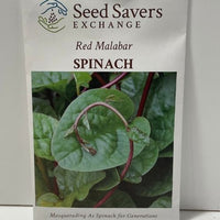 Thumbnail for Red Malabar Spinach Seeds