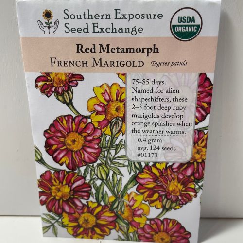 Red Metamorph Marigold