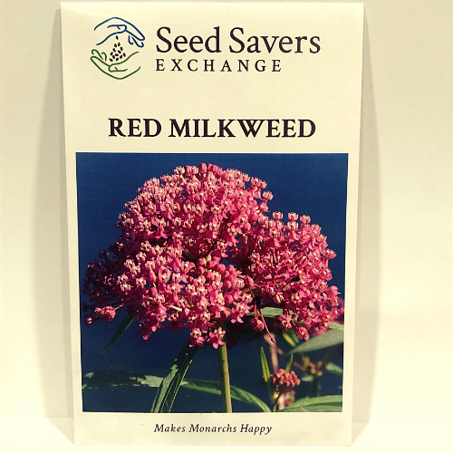 Red Milkweed - Prairie Native