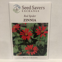 Thumbnail for Red Spider Zinnia Flower - 1801 Heirloom