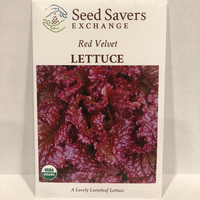 Thumbnail for Organic Red Velvet Lettuce