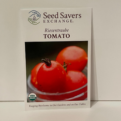 Organic Riesentraube Tomato Heirloom Open Pollianted Seeds