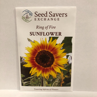 Thumbnail for Ring of Fire Sunflower