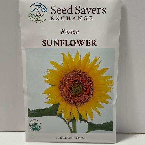 Organic Rostov Sunflower Heirloom Open Pollinated Seeds