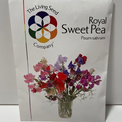 Royal Sweet Pea Flower Seeds