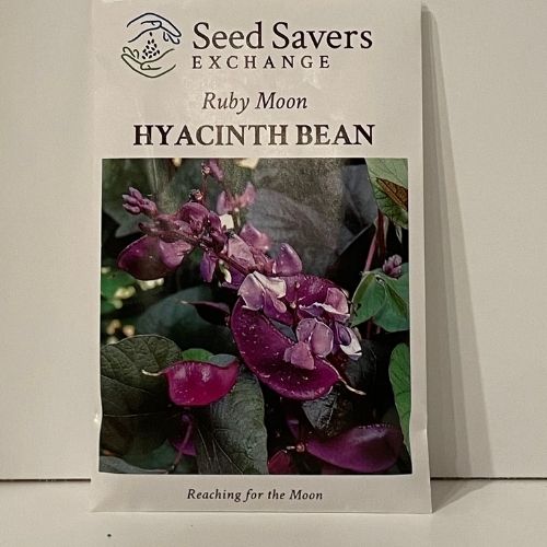 Ruby Moon Hyacinth Flower Heirloom Seeds