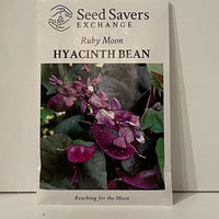 Thumbnail for Ruby Moon Hyacinth Flower Heirloom Seeds