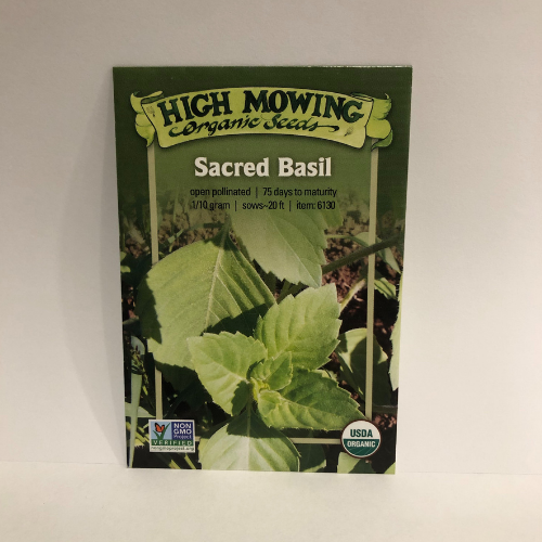 Organic Sacred Basil, Heirloom