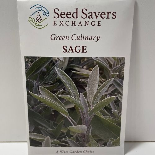 Green Culinary Sage Seeds