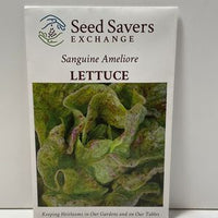 Thumbnail for Sanguine Ameliore Lettuce, Heirloom Open-Pollinated Seeds