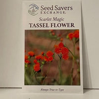 Thumbnail for Scarlet Magic Tassel Flower Seeds
