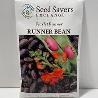 Thumbnail for Scarlet Runner Runner Heirloom Bean