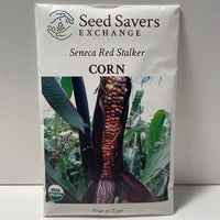 Thumbnail for Organic Seneca Red Stalker Seeds