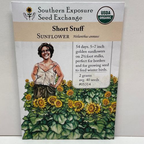 Short Stuff Sunflower, Organic