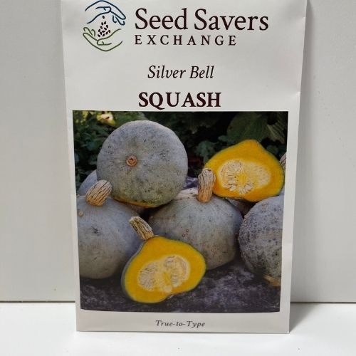 Silver Bell Squash Heirloom Open Pollinated Squash