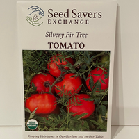 Thumbnail for Organic Silvery Fir Tree Tomato Open Pollianted Seeds