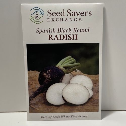 Spanish Black Round Radish Heirloom Seeds