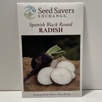Thumbnail for Spanish Black Round Radish Heirloom Seeds