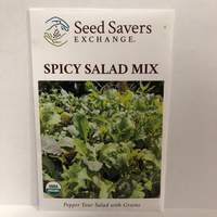 Thumbnail for Organic Spicy Salad Mix