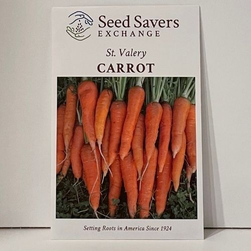 St. Valery Carrot Seeds Open-Pollinated