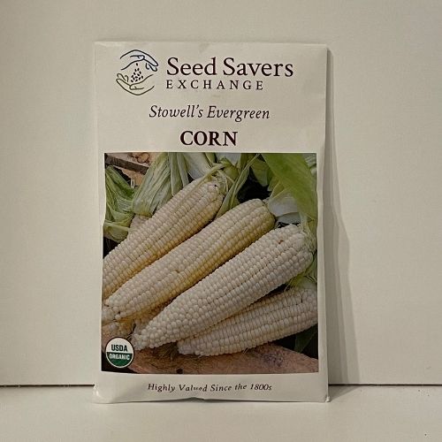 Stowell's Evergreen Open-pollinated heirloom corn