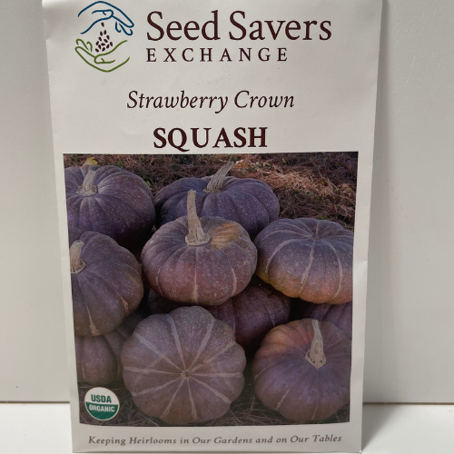 Organic Strawberry Crown Squash Open Pollinated Seeds