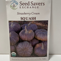 Thumbnail for Organic Strawberry Crown Squash Open Pollinated Seeds