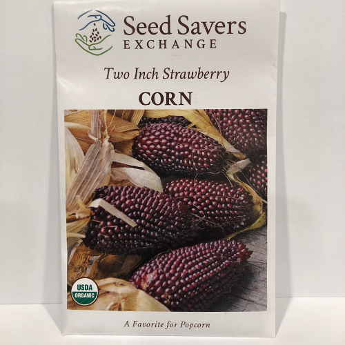 Two Inch Strawberry Corn, Organic