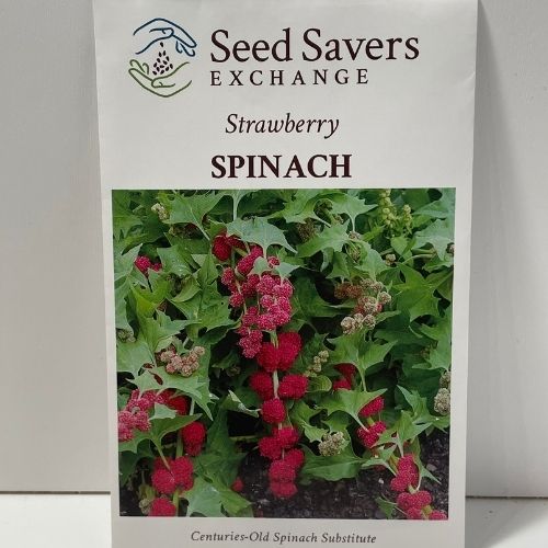 Strawberry Spinach Heirloom Seeds