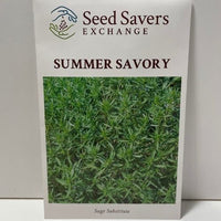 Thumbnail for Summer Savory Seeds