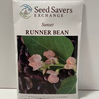 Thumbnail for Susnet Runner Heirloom Bean Seeds