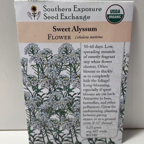 Sweet Alyssum, Organic