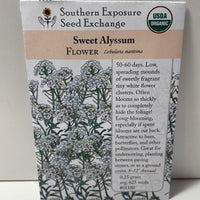 Thumbnail for Sweet Alyssum, Organic