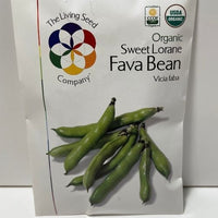 Thumbnail for Organic Sweet Lorane Fava Bean Seeds