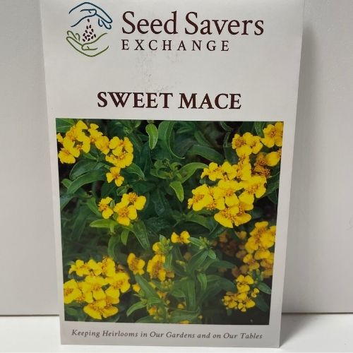 Sweet Mace Seeds