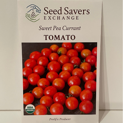 Currant Sweet Pea Tomato, organic