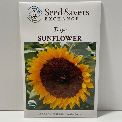 Organic Taiyo Sunflower Open Pollinated Seeds