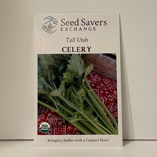 Tall Utah Celery Seeds Organic Open-Pollinated
