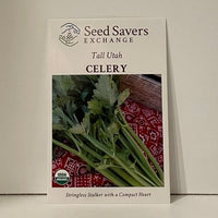 Thumbnail for Tall Utah Celery Seeds Organic Open-Pollinated