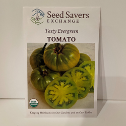 Organic Tasty Evergreen Tomato Open Pollinated Seeds