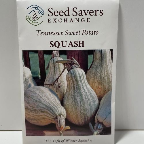 Tennessee Sweet Potato Squash Heirloom Open Pollinated Seeds