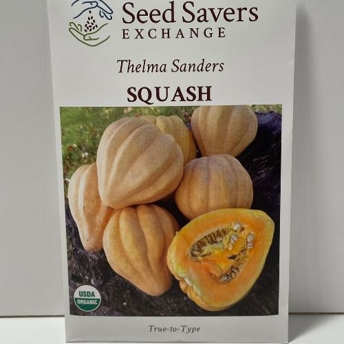 Organic Thelma Sanders Squash Hierloom Open Pollinated Seeds