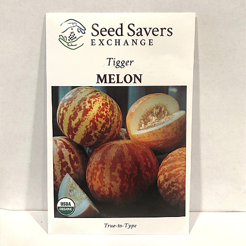Tigger Melon, Heirloom, Organic
