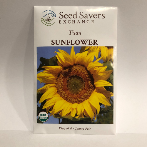 Titan Sunflower, Organic