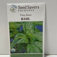 Thumbnail for Organic Tony Scavo Basil Heirloom Open-Pollianted Seeds