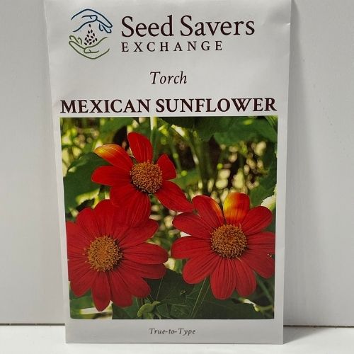 Torch Mexican Sunflower Open Pollinated Seeds